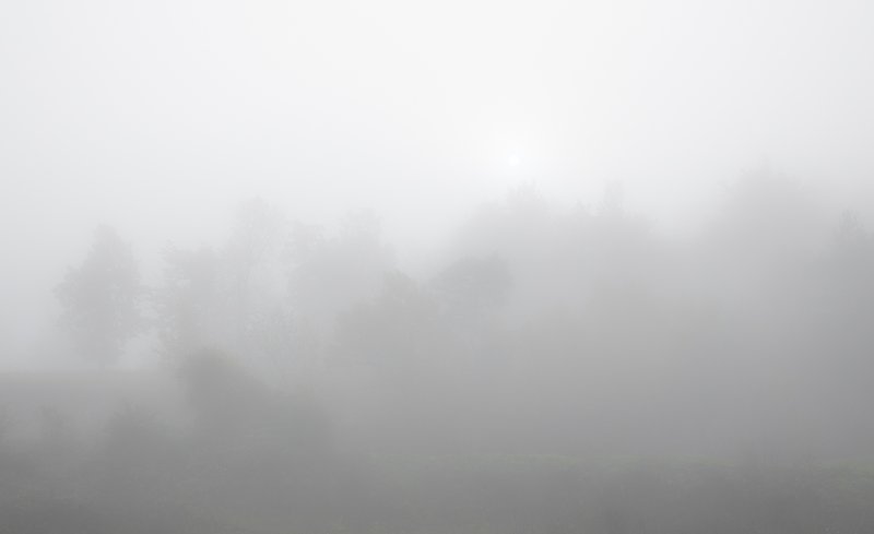 Fog