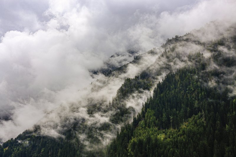 Fog