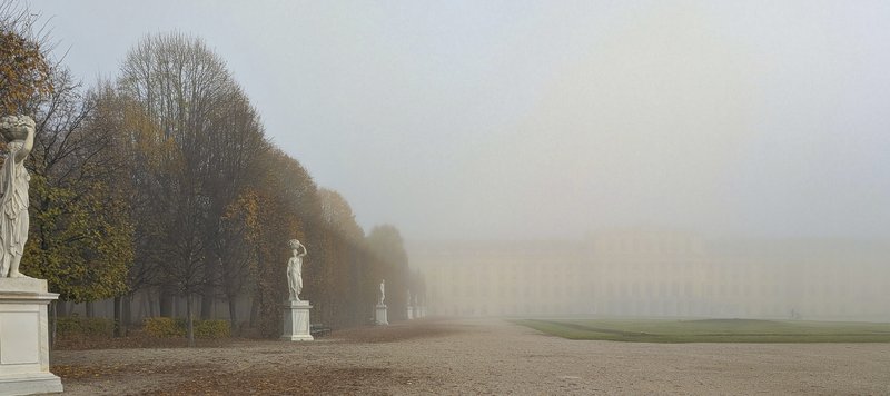 Fog
